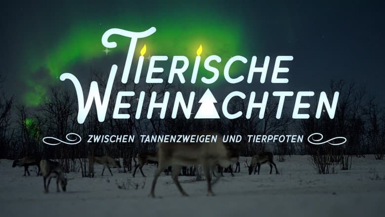 Tierische Weihnachten - Zwischen Tannenzweigen und Tierpfoten