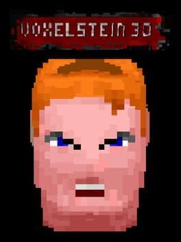 Voxelstein 3D