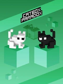 Cat Box Paradox