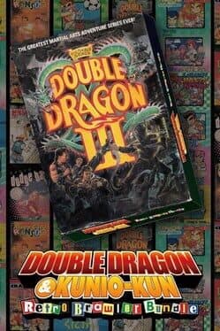 Double Dragon III: The Sacred Stones