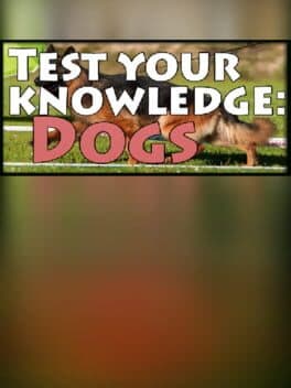 Test your knowledge: Dogs
