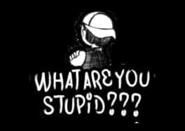What Are You Stupid
