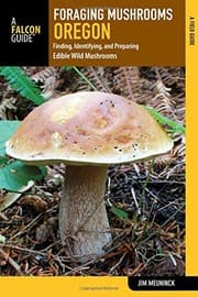 Foraging Mushrooms Oregon