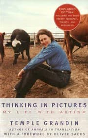 Thinking in Pictures