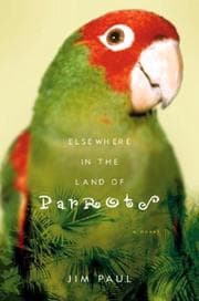 Elsewhere in the land of parrots