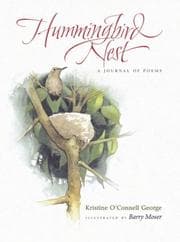 Hummingbird nest