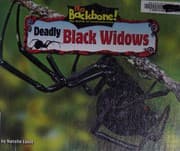 Deadly black widow spiders