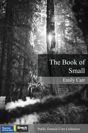Book of Small