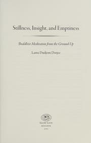 Stillness, insight, and emptiness