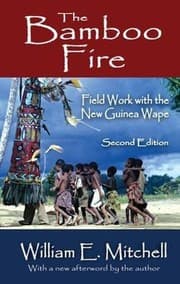 The bamboo fire