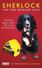 The Fire Brigade Dog