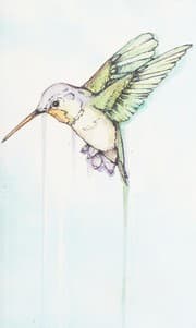 Hummingbird