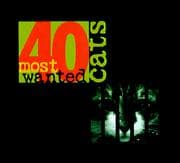 40 most wanted cats