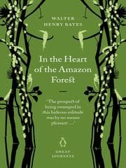 In the Heart of the Amazon Forest