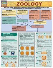 QuickStudy - Zoology