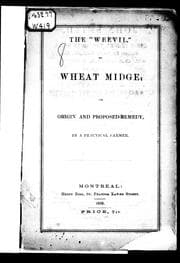 The "weevil" or wheat midge