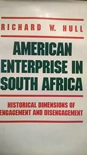 American enterprise in South Africa