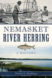 Nemasket River Herring :