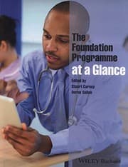 The Foundation Programme at a Glance