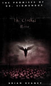 The cracked mirror