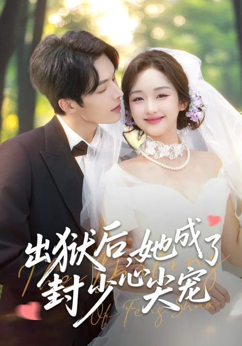 出狱后,她成了封少心尖宠