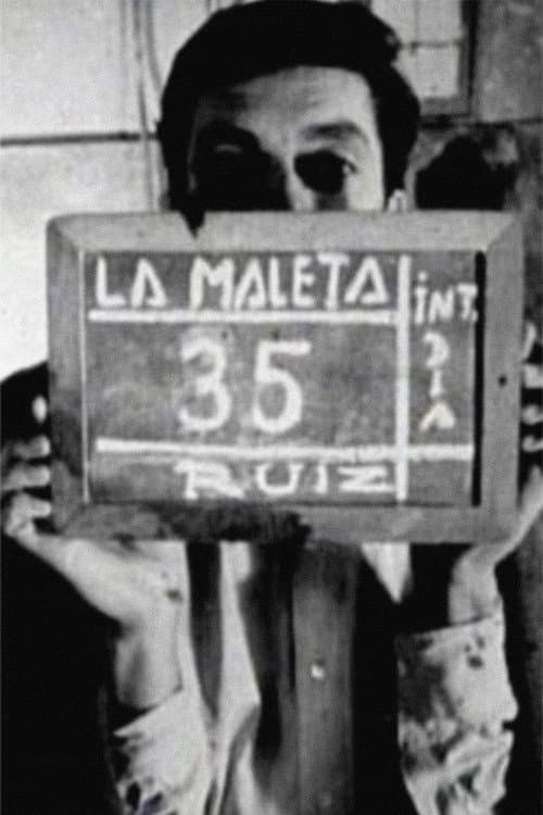 The Suitcase