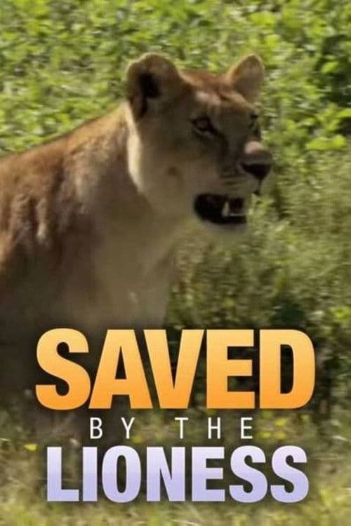Saved by the Lioness