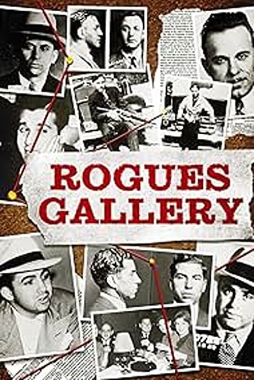 Rogues Gallery